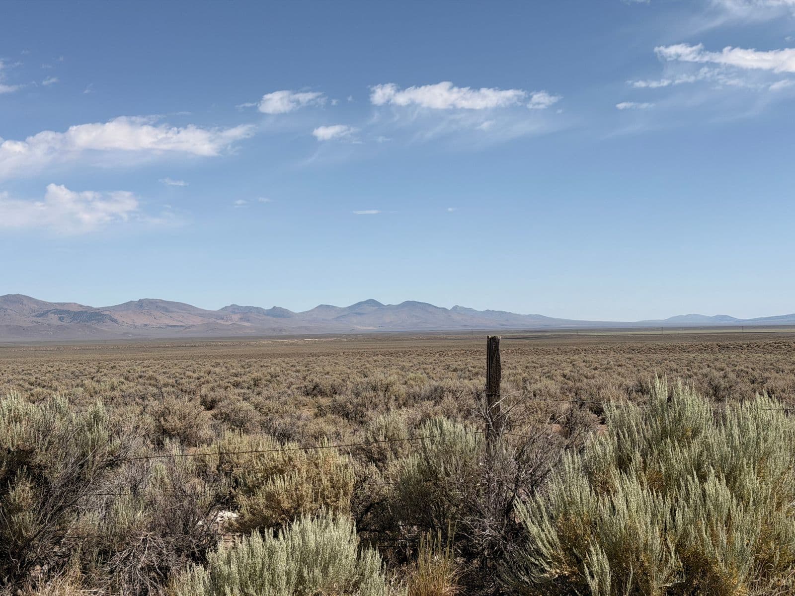 Wide open high-desert valley of sagebrush under a blue sky with a distant range, the exposed terrain that surrounds Dayton, Nevada.