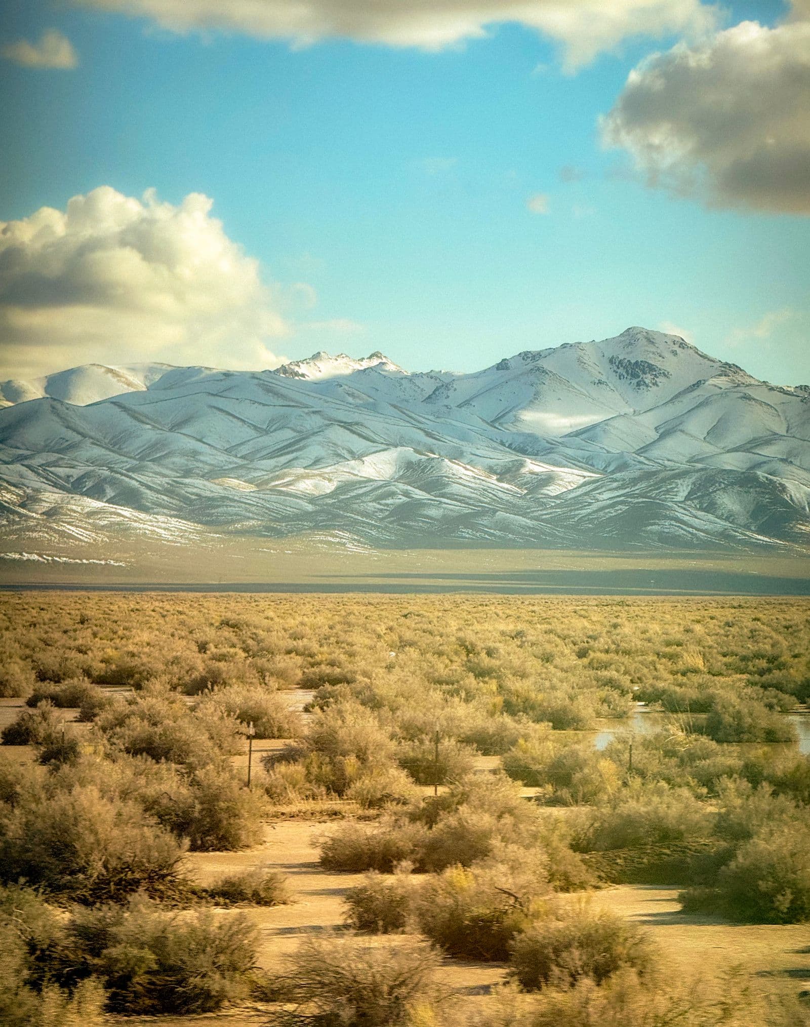 Snow-capped Sierra peaks rising above open desert shrubland, the view west across the Carson Valley from Gardnerville, Nevada.